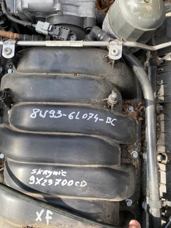 5ff10f60020a20794da275d4b0139955